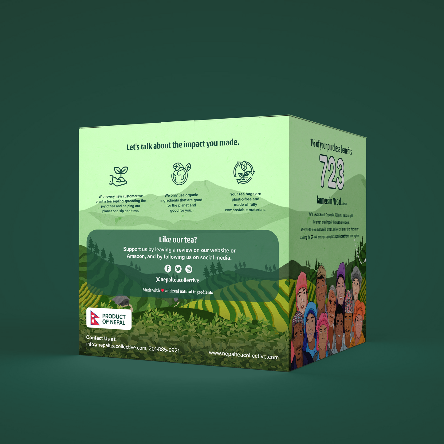 Himalayan Mist (Organic Green Tea) - Tea Bags (Set of 6) | Wholesale-1